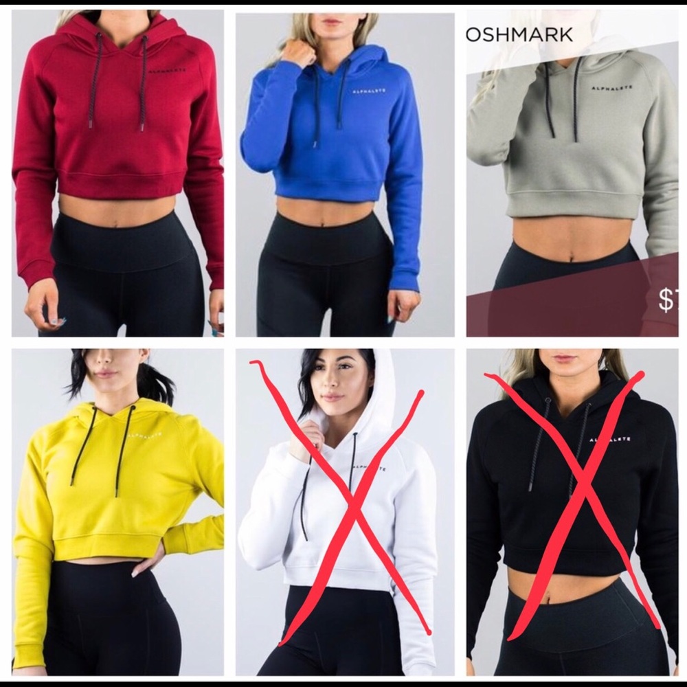 ISO Alphalete Crop Hoodie size SMALL